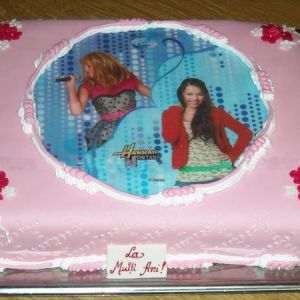 Tort Hannah